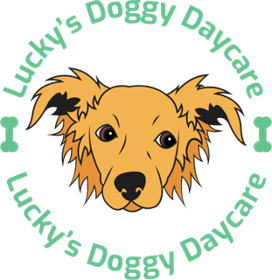 Lucky's Doggy Daycare